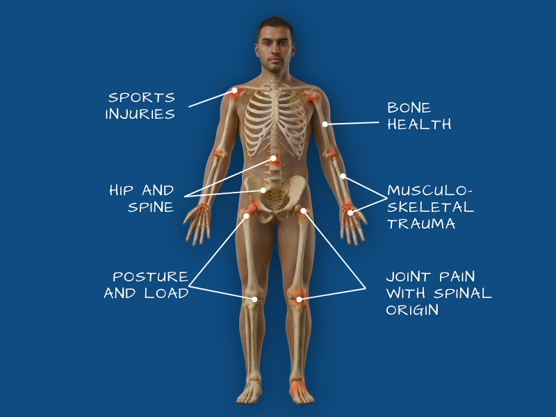 Orthopedic assessment image